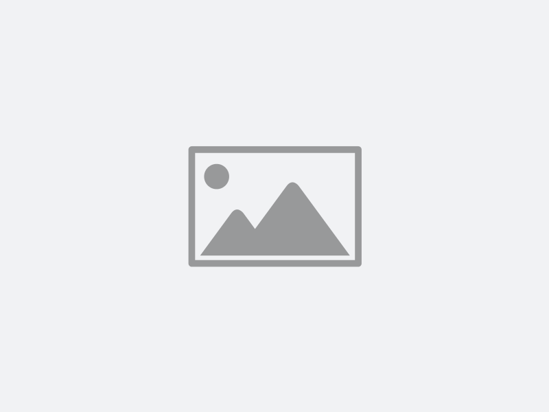 Trailblazers Tech Solutions launches new website!